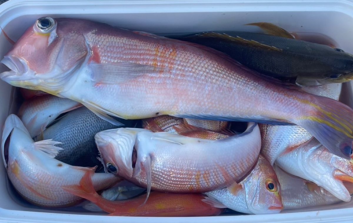 papapapapappyさんの釣果 1枚目の画像