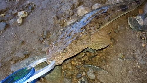 那珂川河口