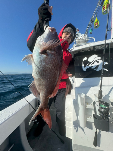 スズキの釣果