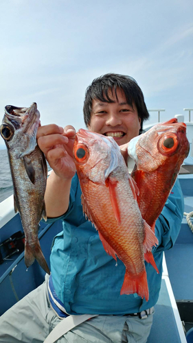 アカムツの釣果