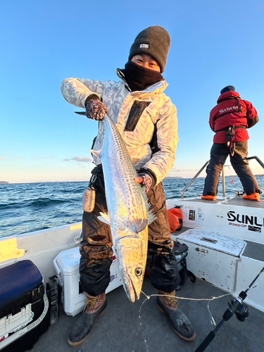 サワラの釣果