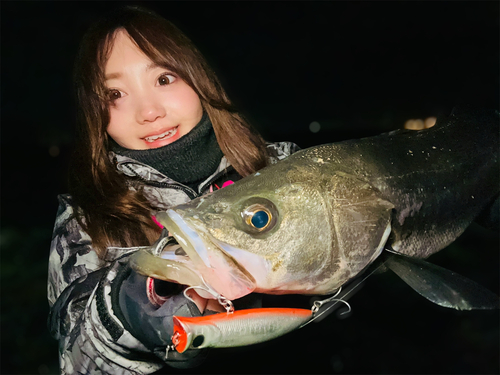 東京湾（アクアライン〜富津）