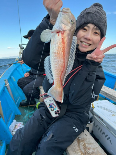 シロアマダイの釣果