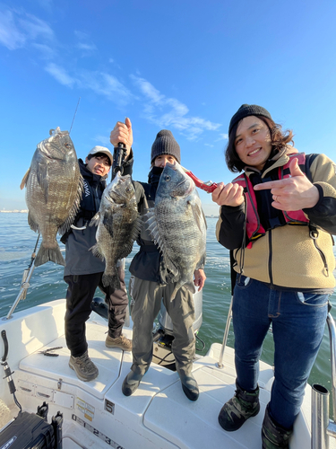 クロダイの釣果