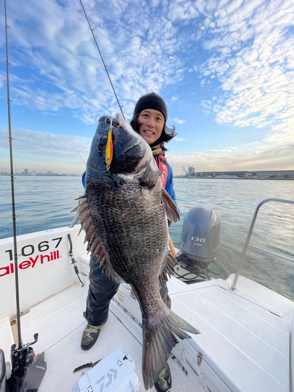 名古屋港遊漁船　BlueHazeさんの釣果 2枚目の画像