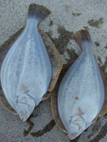 荒浜漁港公園