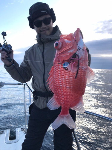 エビスダイの釣果