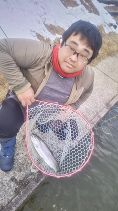 トラウトの釣果