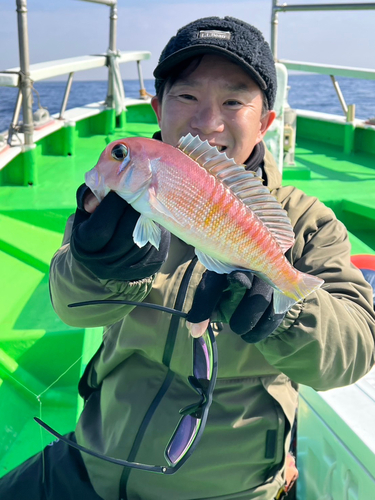 アカアマダイの釣果