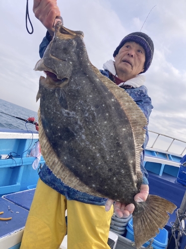 ヒラメの釣果