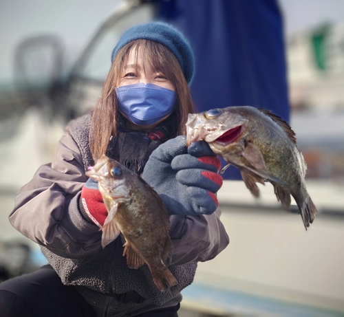 メバルの釣果