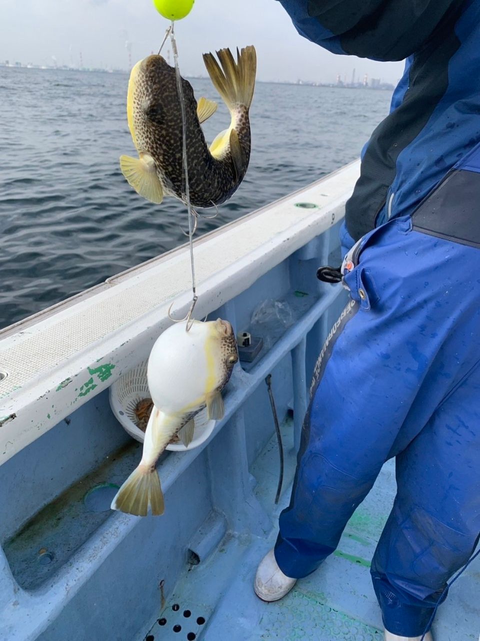 幸栄丸 釣果さんの釣果 2枚目の画像