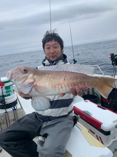 シロアマダイの釣果