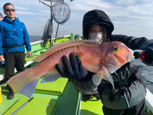 アカアマダイの釣果