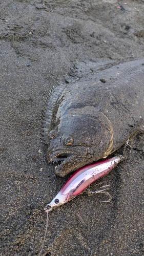 茅ヶ崎海岸