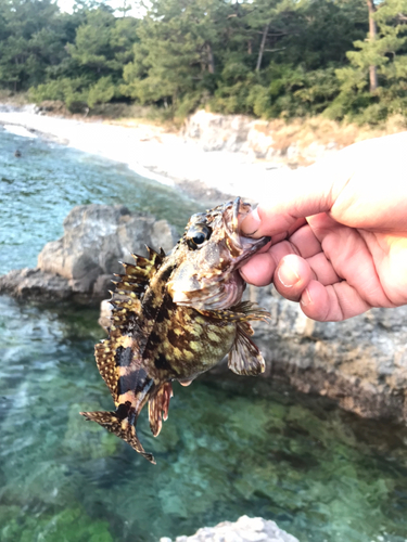 串木野新港