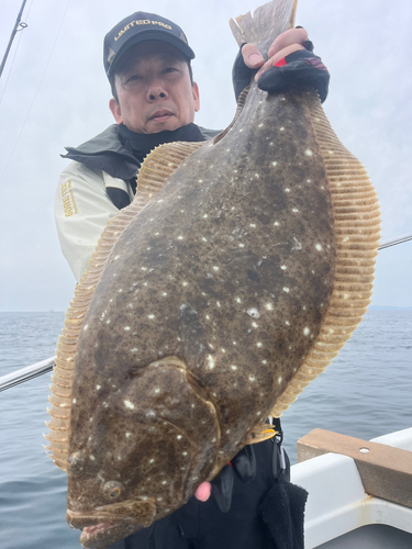 ヒラメの釣果