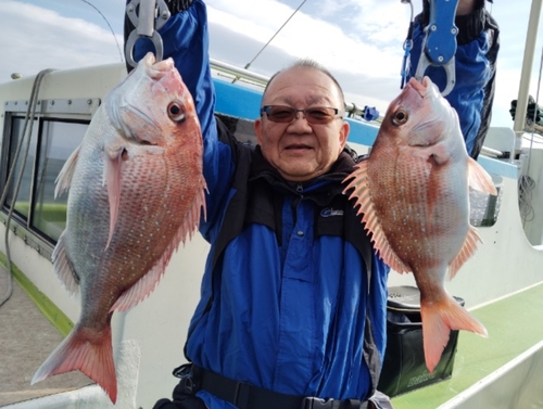 マダイの釣果