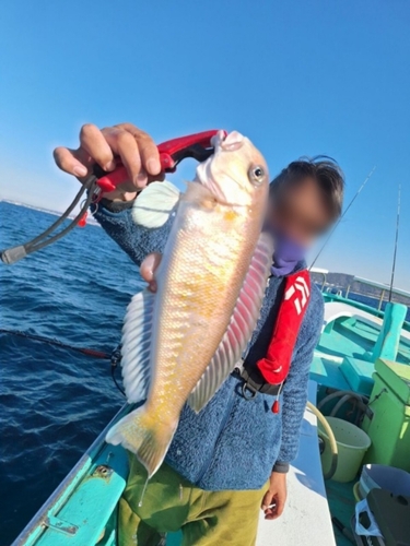 シロアマダイの釣果