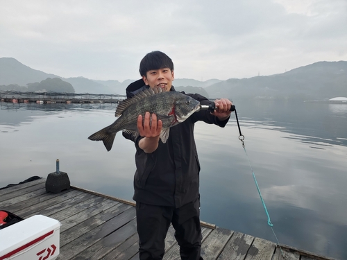 チヌの釣果