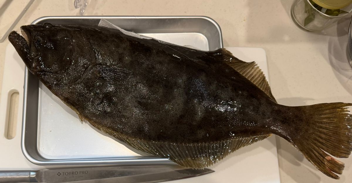 あじたまさんの釣果 1枚目の画像