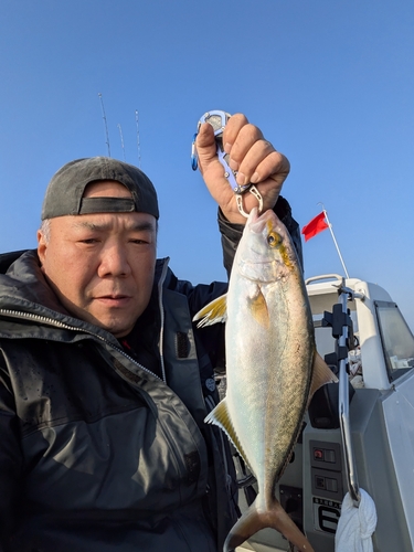 ショゴの釣果