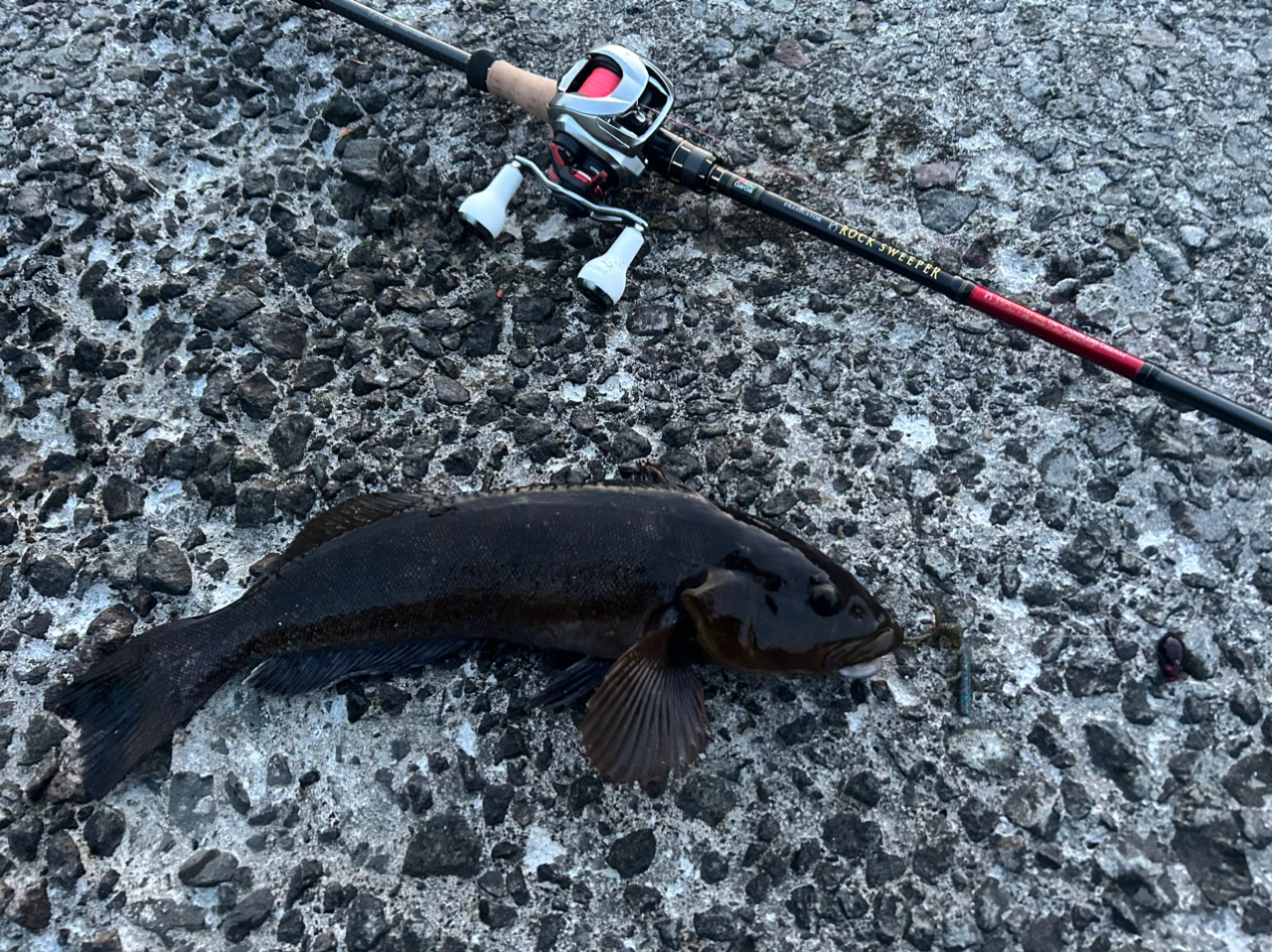 AbuGarcia エラディケーター ロックスイーパー ERSC-777H-MLの最