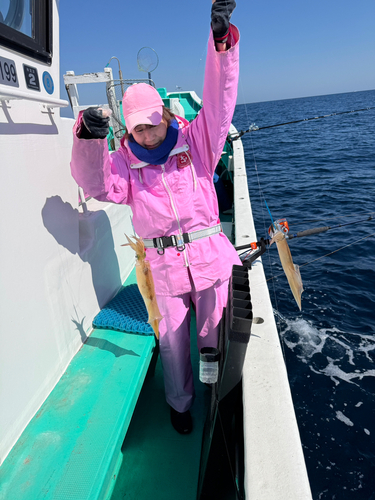 ヤリイカの釣果