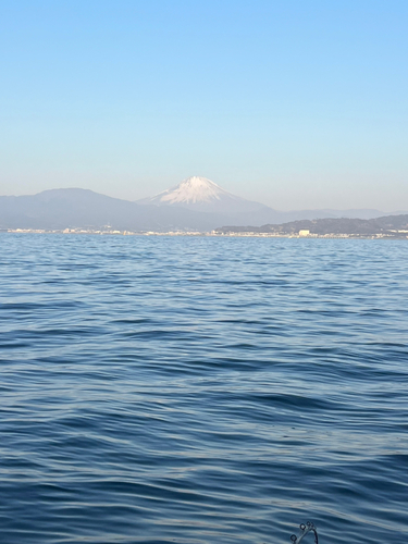 クロムツの釣果