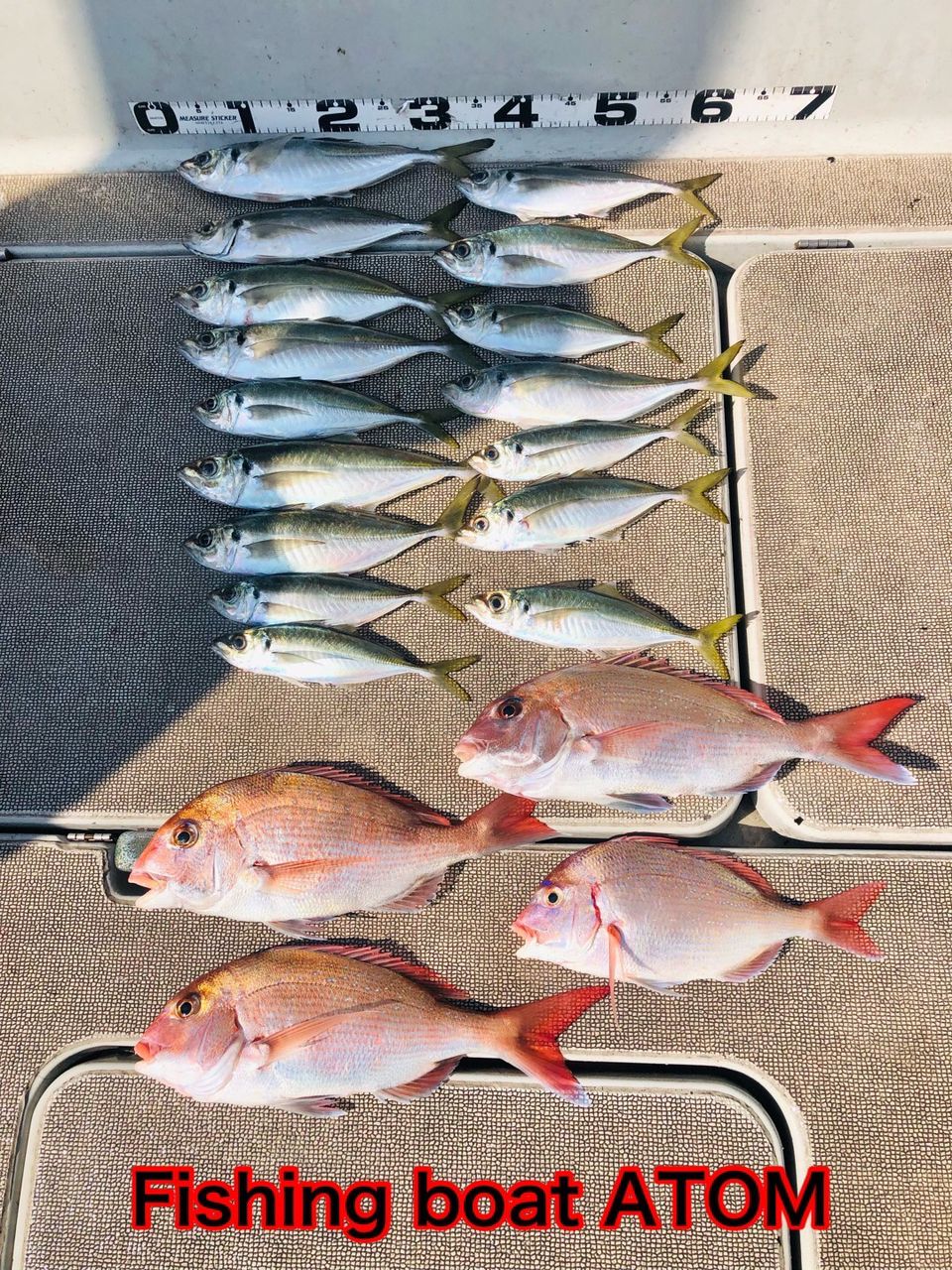 fishingboat.atomさんの釣果 2枚目の画像