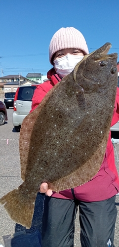 ヒラメの釣果