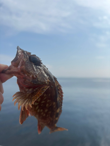 釣果