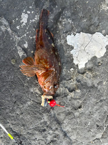 大島海洋体験施設 うみんぐ大島