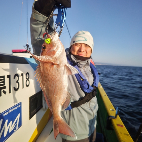 マダイの釣果