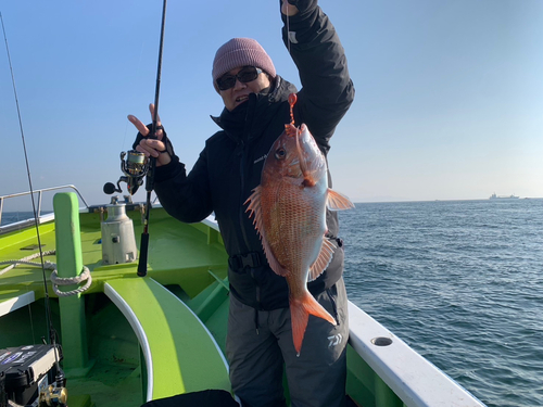 マダイの釣果