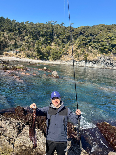 トラウツボの釣果