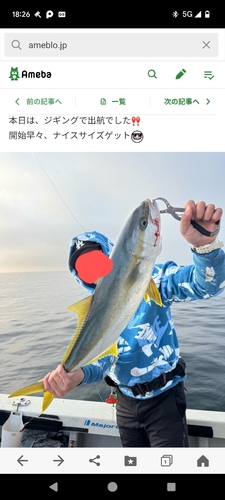 ヒラマサの釣果