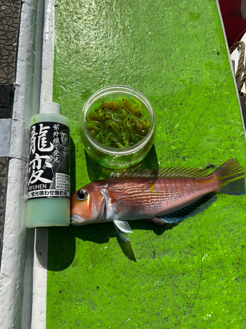 みき0110さんの釣果 3枚目の画像