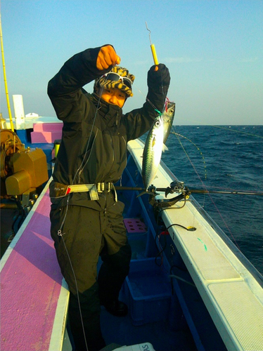 サバの釣果