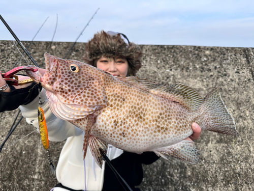 タイの釣果