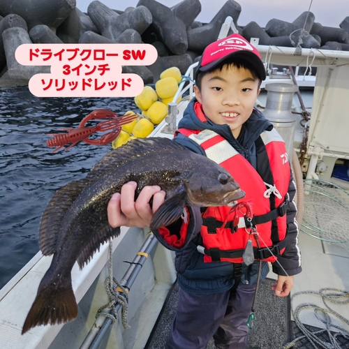 アイナメの釣果