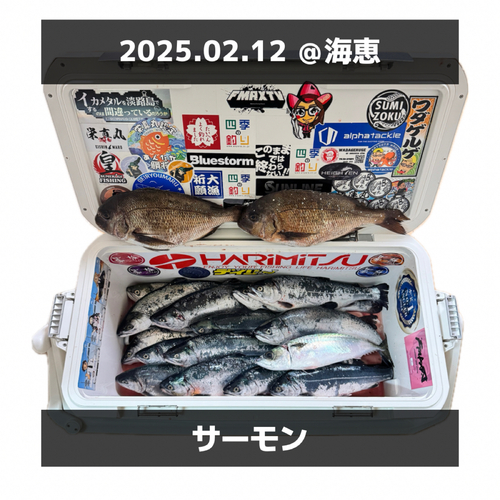 トラウトの釣果