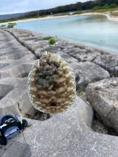 浜比嘉島