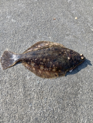 小名浜港アクアマリンふくしま周辺