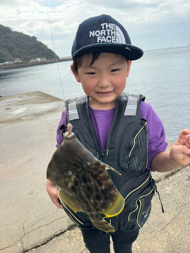 カワハギの釣果