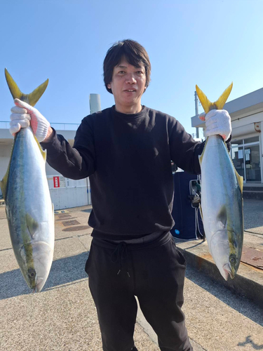 ワラサの釣果