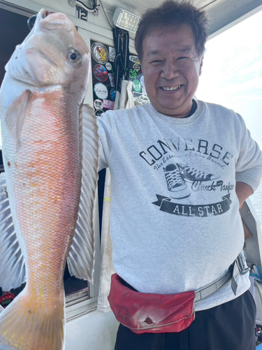 シロアマダイの釣果