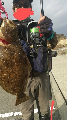 ヒラメの釣果