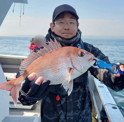 マダイの釣果