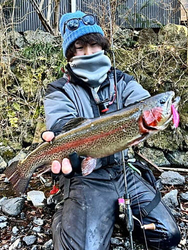 ニジマスの釣果